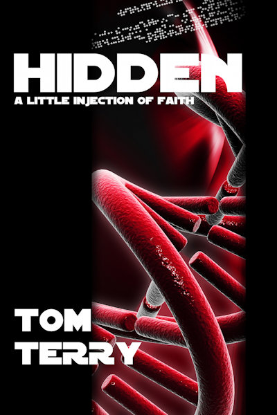 Hidden: A Little Injection of Faith cover